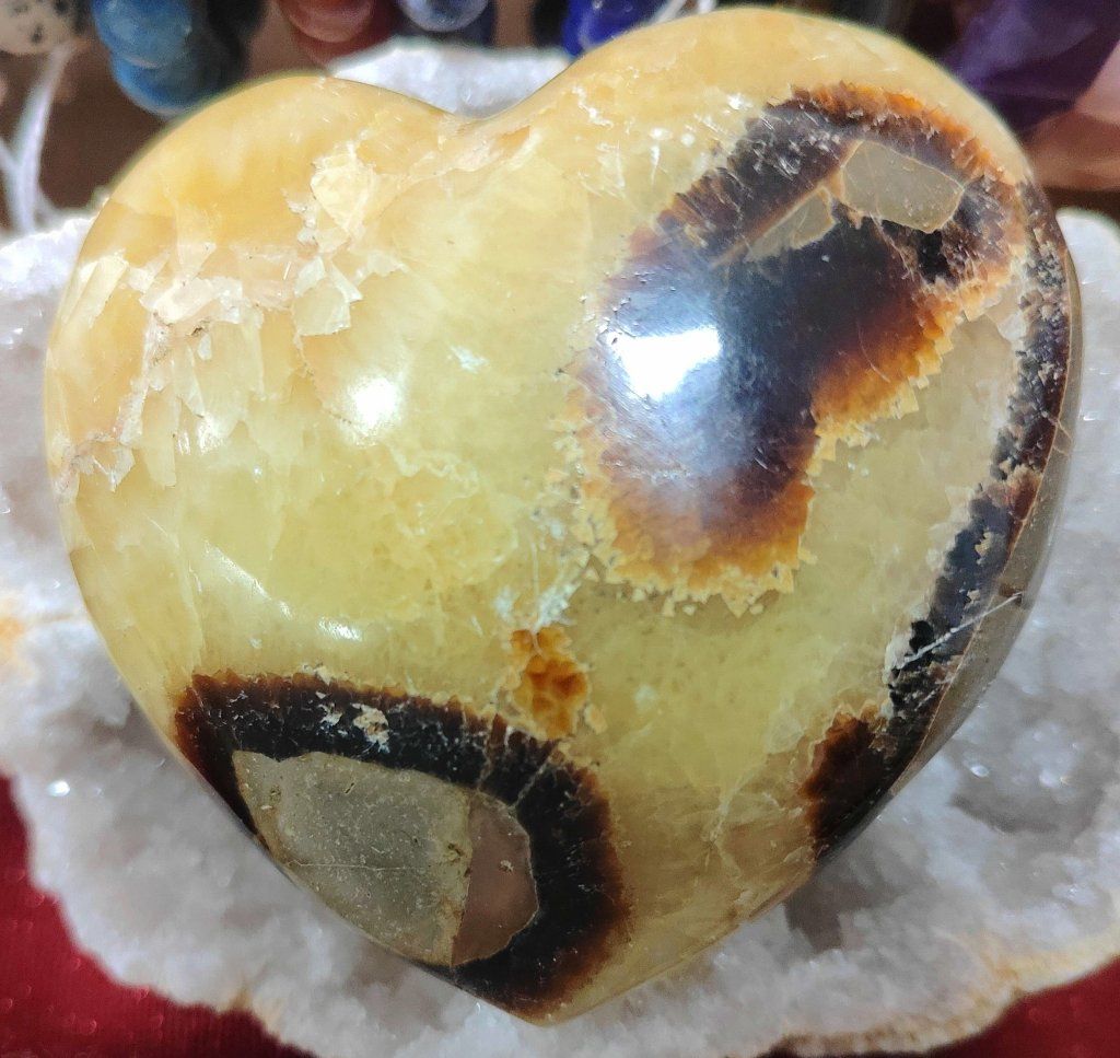 ? Septaria – Pierre d’ancrage et de renaissance