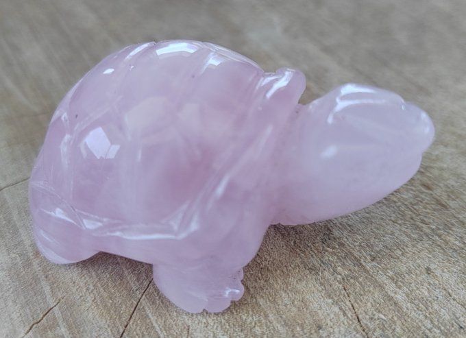 statue tortue 