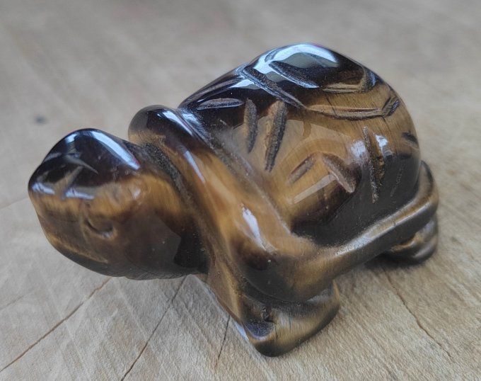 statue tortue 